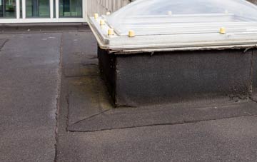 disadvantages of Pont Llogel flat roofs